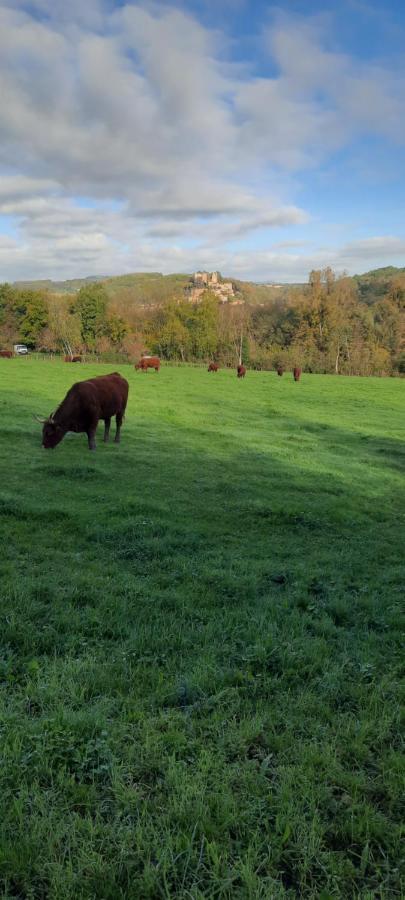 Le Cocon Beaujolais Villa Chatillon  ภายนอก รูปภาพ
